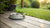How Often to Clean Dog Water Bowl: The Ultimate Guide for Pet Owners