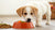 How Old Should a Puppy Be to Start Eating Dog Food?