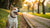 How Quickly Can a Dog Lose Weight? Understanding the Journey to a Healthier Pup