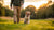 How Should You Punish a Dog for Bad Behavior? Understanding Effective Discipline Techniques-141041893615