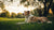 How Soon After Exercise Can a Dog Eat? A Comprehensive Guide for Pet Owners