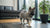 How to Add Protein to Your Dog's Diet: A Comprehensive Guide for Pet Owners