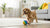 How to Add Water to Dry Dog Food: Enhancing Your Dog's Dining Experience