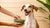 How to Add Weight to a Skinny Dog: A Comprehensive Guide for Pet Owners