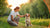 How to Address Behavior Issues in Dogs: A Comprehensive Guide for Pet Owners