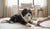 How to Address Dog Behavior Problems: A Comprehensive Guide for Pet Owners