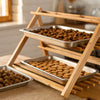 How to Air Dry Dog Food: A Complete Guide for Pet Owners