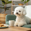 How to Calculate Carbs in Dry Dog Food: A Comprehensive Guide for Pet Owners