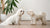 How to Care for a Dog After Surgery: Essential Tips for a Smooth Recovery