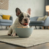 How to Care for a Dog with Dementia: A Comprehensive Guide for Pet Owners