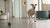 How to Care for a Dog with Heart Murmur: A Comprehensive Guide for Pet Owners