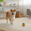How to Care for a Dog with Liver Disease: A Comprehensive Guide for Pet Owners