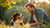 How to Change a Dog's Aggressive Behavior: A Comprehensive Guide for Loving Pet Owners