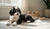 How to Change a Dog's Behavior: A Comprehensive Guide for Pet Owners-141420789999