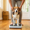 How to Check Dog Weight at Home: A Comprehensive Guide for Pet Owners