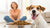How to Choose the Best Dry Dog Food: A Comprehensive Guide for Pet Owners