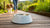How to Clean Dog Water Bowl: A Comprehensive Guide for Pet Owners
