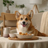 How to Cook Sweet Potato for Dog: A Complete Guide for Pet Owners