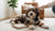 How to Correct Dog Behavior Problems: A Guide for Pet Owners-141421248751