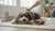 How to Correct Reactive Dog Behavior: A Comprehensive Guide for Pet Owners-141420888303