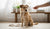 How to Correct Your Dog's Bad Behavior: A Comprehensive Guide for Pet Owners-141418823919