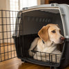 How to Crate Train a Dog: The Comprehensive Guide for Dog Owners