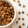 How to Crush Dog Kibble: Elevate Your Dog's Feeding Experience