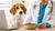 How to Determine Food Allergies in Dogs: A Comprehensive Guide for Concerned Pet Owners-141101334767