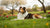 How to Determine Your Dog's Ideal Weight for a Healthier Life