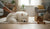 How to Discourage Unwanted Behavior in Dogs: Effective Strategies for Pet Owners-141418856687