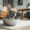How to Dry Liver for Dog Treats: A Comprehensive Guide