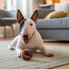 How to Encourage Your Dog to Eat Kibble: Tips and Strategies for Pet Owners