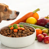 How to Enhance Dog Kibble for a Healthier, Happier Pup