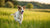 How to Estimate Your Dog's Full Grown Weight: A Comprehensive Guide