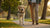 How to Exercise a Blind Dog: Ensuring Fun and Safety