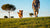 How to Exercise a Dog in Hot Weather: Keeping Our Pups Active and Safe