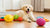 How to Exercise a Dog Without Walking: Creative Indoor Activities for Happy Pups