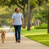 How to Exercise a Reactive Dog: Effective Strategies for a Happy Pup
