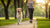 How to Exercise My Dog: A Comprehensive Guide to Keeping Your Pup Active
