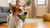 How to Exercise Your Dog at Home: Fun and Creative Ways to Keep Them Active
