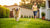 How to Exercise Your Dog at Home: Fun and Effective Ideas