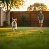 How to Exercise Your Dog in the Backyard: Fun and Engaging Activities for Every Pup