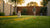 How to Exercise Your Dog in the Backyard: Fun and Engaging Activities for Every Pup