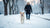How to Exercise Your Dog in the Winter: Keeping Fido Active When It's Cold Outside