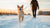 How to Exercise Your Dog in Winter: Staying Active and Engaged