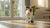 How to Exercise Your Dog Indoors: Creative Solutions for Active Pups
