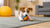 How to Exercise Your Dog Indoors: Fun and Engaging Activities for Every Pup
