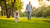 How to Exercise Your Dog When It’s Too Hot Outside: Cool Tips for Warm Days