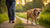 How to Exercise Your Overweight Dog: A Comprehensive Guide for Pet Owners