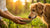 How to Feed Dog Dry Food: A Comprehensive Guide for Pet Owners